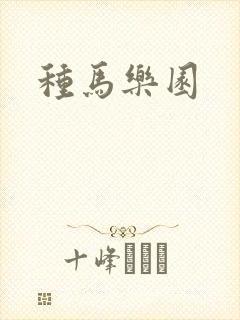 种马乐园