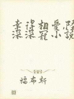 幸得相爱,陆少深深宠小说全文免费阅读