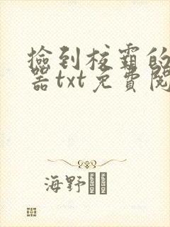 捡到校霸的遥控器txt免费阅读封面