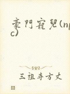 豪门宠儿(npc)