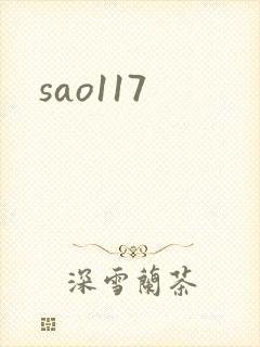 sao117封面