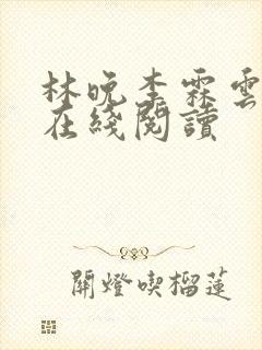 林晚李霖云小说在线阅读