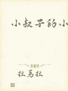 小叔子的小说