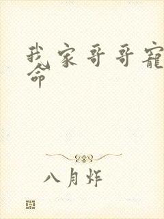 我家哥哥宠妹如命