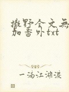 撒野全文无删减加番外txt封面