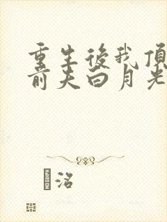 重生后我顶替了前夫白月光 第507章