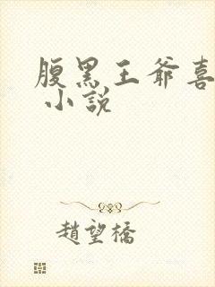 腹黑王爷喜当爹 小说