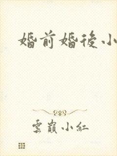 婚前婚后小说