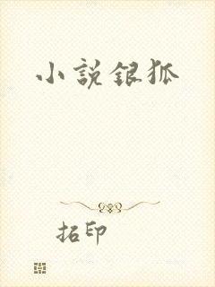 小说银狐封面