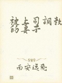 被上司调教堕落的妻子封面