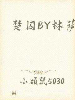 楚囚BY林萨