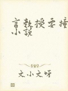 言教授要撞坏了小说