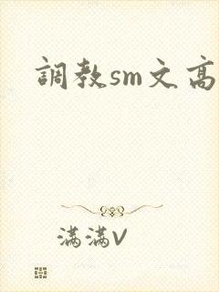 调教sm文高h