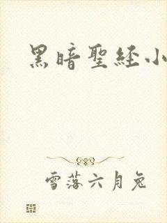 黑暗圣经小说