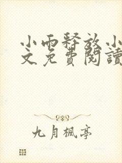 小雨释放小说全文免费阅读最新章节