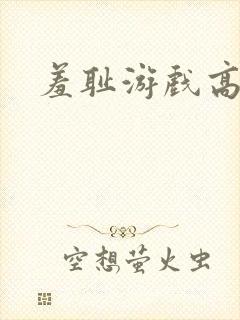 羞耻游戏高h封面