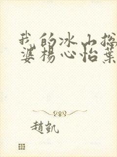 我的冰山总裁老婆杨心怡叶雄