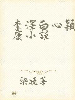 李泽白心颖陆伟康小说