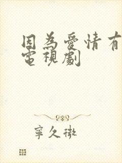 因为爱情有幸福电视剧