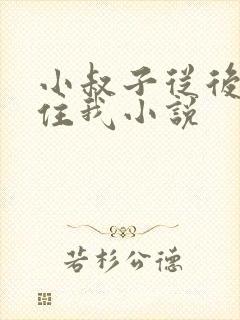 小叔子从后面抱住我小说封面