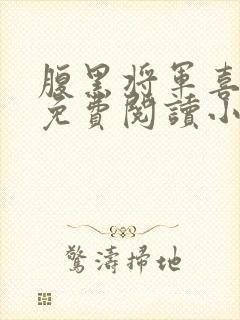 腹黑将军喜当爹免费阅读小说封面