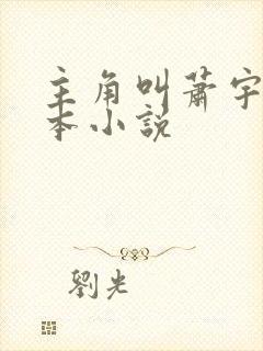 主角叫萧宇的几本小说