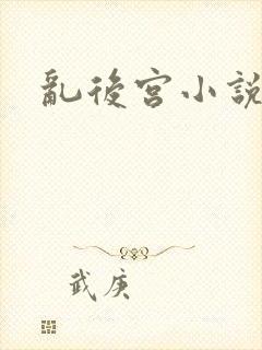 乱后宫小说
