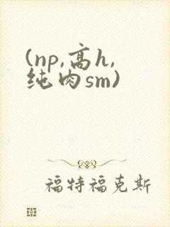(np,高h,纯肉sm)
