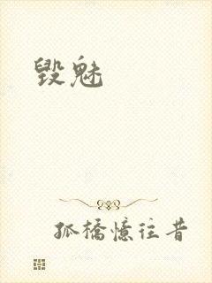 毁魅