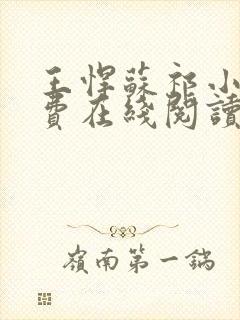 王悍苏祁小说免费在线阅读