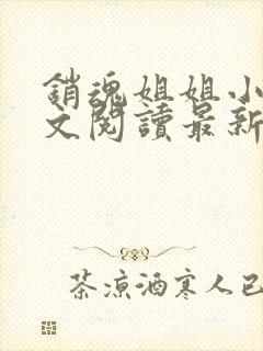 销魂姐姐小说全文阅读最新章节列表封面