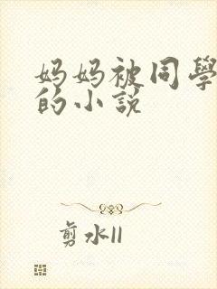妈妈被同学调教的小说