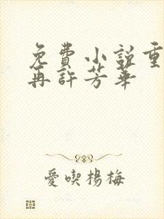 免费小说重生之再许芳华