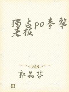 独占po拳击馆老板