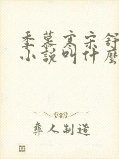 季慕寒宋舒染的小说叫什么