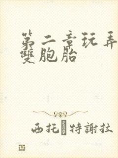 第二章玩弄少妇双胞胎