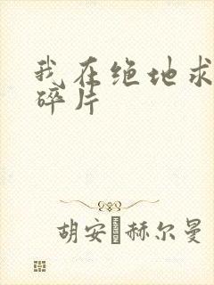 我在绝地求生捡碎片封面