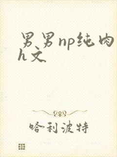 男男np纯肉高h文