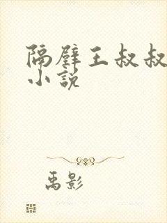 隔壁王叔叔王伟小说