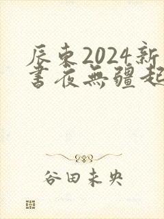 辰东2024新书夜无疆起点
