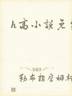h高小说免费