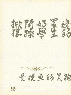 掀开奶罩边躁狠狠躁学生的小文字