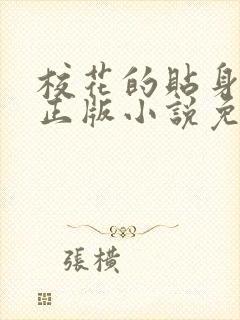 校花的贴身高手正版小说免费