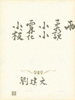 小雪小柔两个大校花小说