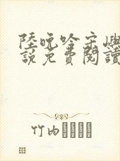 陆晚吟宋屿风小说免费阅读最新章节