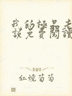 我的极品老婆小说免费阅读全文下载