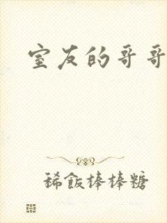 室友的哥哥封面