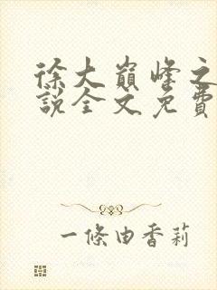 徐大巅峰之路小说全文免费阅读