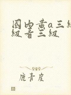 国内黄a三级三级看三级