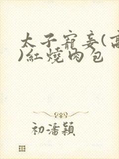 太子宠妾(高肉)红烧肉包